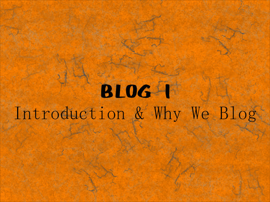 BLOG 1: Introduction & Why We Blog