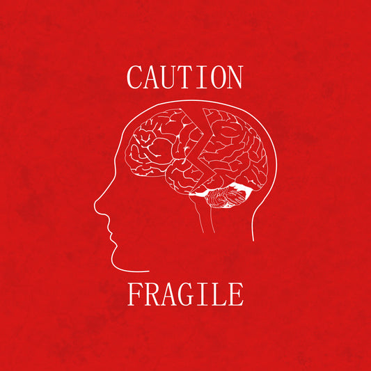 BLOG 4: Caution - Fragile